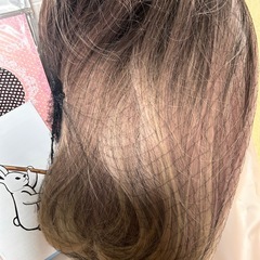 ボブウィッグの画像