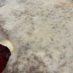 チベタン　シープスキンラグ　羊毛ラグの画像