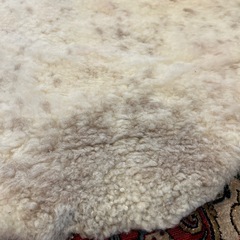 チベタン　シープスキンラグ　羊毛ラグの画像