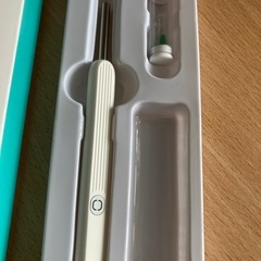 カメラで見える耳かきの画像