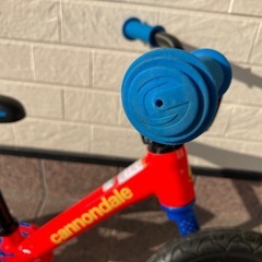 キャノンデール/キッズトレイル　バランスボーイ（2021）の画像