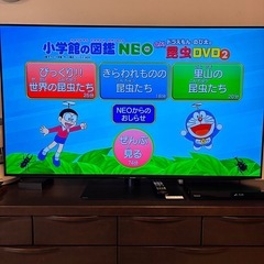 小学館図鑑ネオ(DVD付き)　学研の図鑑　ざんねんないきもの辞典　すごい毒の画像