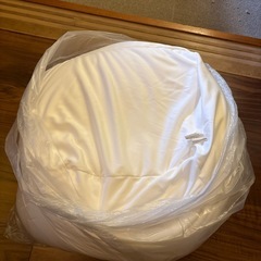 ニトリ　ビーズクッション　中身のみ　標準の画像