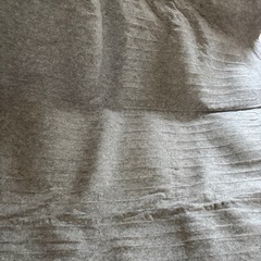 三菱 ホットカーペット EM-P200 550W グレーの画像