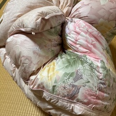 羽毛布団　シングル　coop神戸の画像