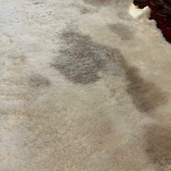 チベタン新品シープスキン　羊毛ラグ②の画像