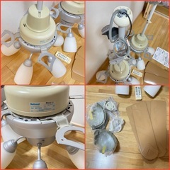 national シーリングファン 照明器具 2機の画像