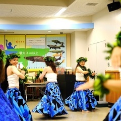 月謝制ではないフラダンス教室♪の画像