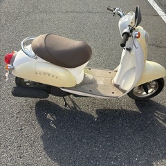 ホンダ　scoopyの画像
