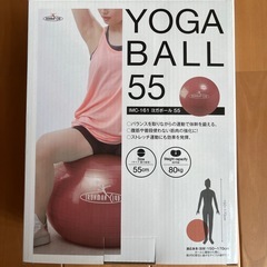 バランスボールの画像