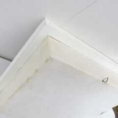 ■ローズシャドウボックス　置物　飾り物　ピンクローズ　薔薇　造花の画像