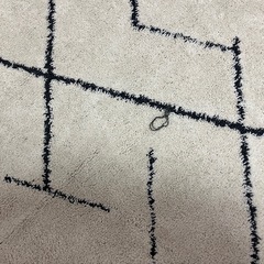 【お取引き先確定】ニトリ　ほこりがとれやすいラグ　185×185　の画像