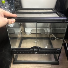 爬虫類ガラスケージの画像