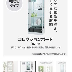 コレクションボード
の画像