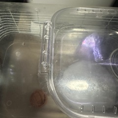 ハムスターケージの画像