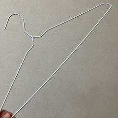 ハンガー31本の画像