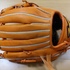 グローブの画像