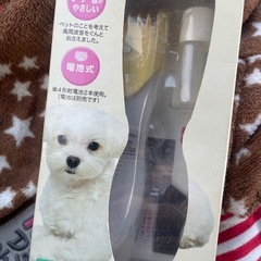 小型犬の洋服の画像