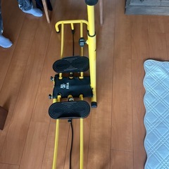 スタイルアップレッグ　健康器具の画像