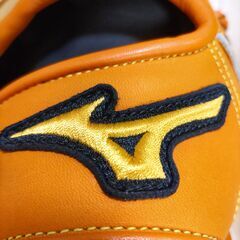 グローブの画像