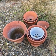 植木鉢　種類多数の画像