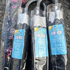 婦人用の傘の画像