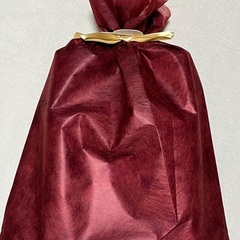 ★価格改定しました★新品未開封未使用　変身ベルト　DXゼッツドライバーの画像