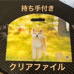 無料【至急】クリアバッグ８枚セットの画像