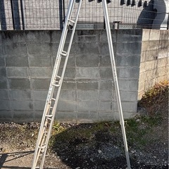 【美品】ALINCO アルインコ 8尺 オールアルミ三脚脚立 剪定 はしごHCX-240 の画像