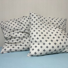 【無料】フロアクッション2個と座布団1枚の画像