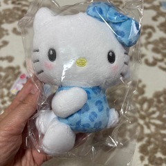 全て限定品　未使用　未開封　サンリオ　キティ　シナモン　セットの画像