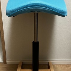 バランスシナジー 腰痛対策椅子
の画像