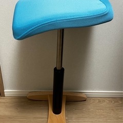 バランスシナジー 腰痛対策椅子
の画像