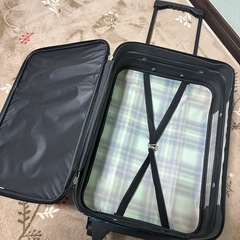 キャリーバッグの画像