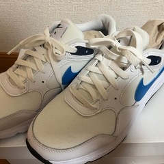 ナイキスニーカーの画像