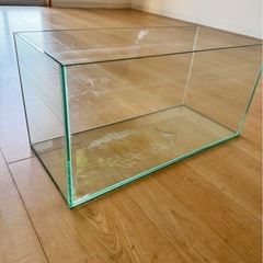 取りに来れる方　水槽の画像