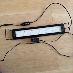 取りに来れる方　水槽の画像