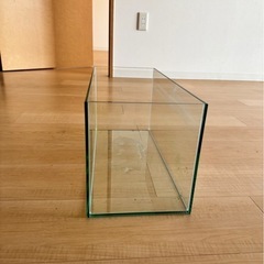 取りに来れる方　水槽の画像