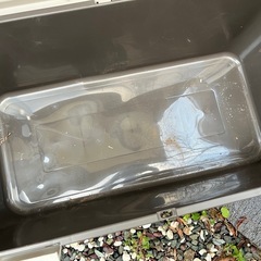 収納ボックス　外用の画像