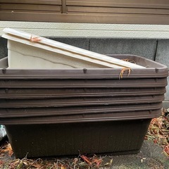 プランター大きめの画像