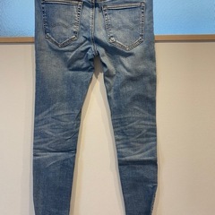 アメリカンイーグルの画像