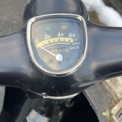 リトルカブの画像