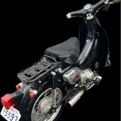 リトルカブの画像