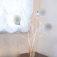 ミールへーデン、ウェルカムツリー、かねこウェディング、結婚式準備やウェルカムスペースにの画像