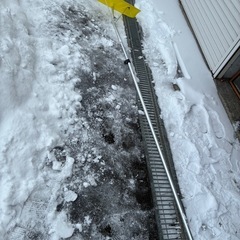 ルーフレーキ　雪おろし