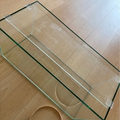 取りに来れる方　水槽の画像