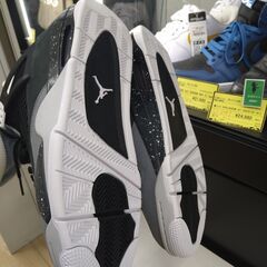リユースのサカイ浦和店 【G042】ナイキ エアジョーダン４"Fear”FQ8138-002 28.5㎝の画像