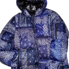 タトラスアグリッパーの画像