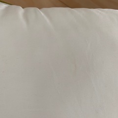 GOKUMIN 極眠プレミアム枕 シングル
の画像