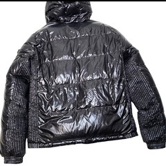 タトラスアグリッパーの画像